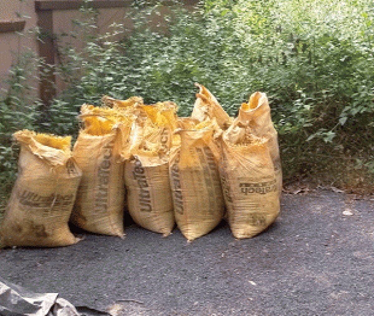 Pending issues of Siolim