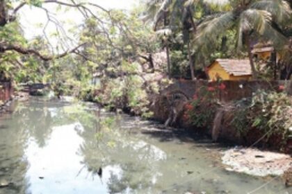 People can do for St Inez creek what consultants can’t