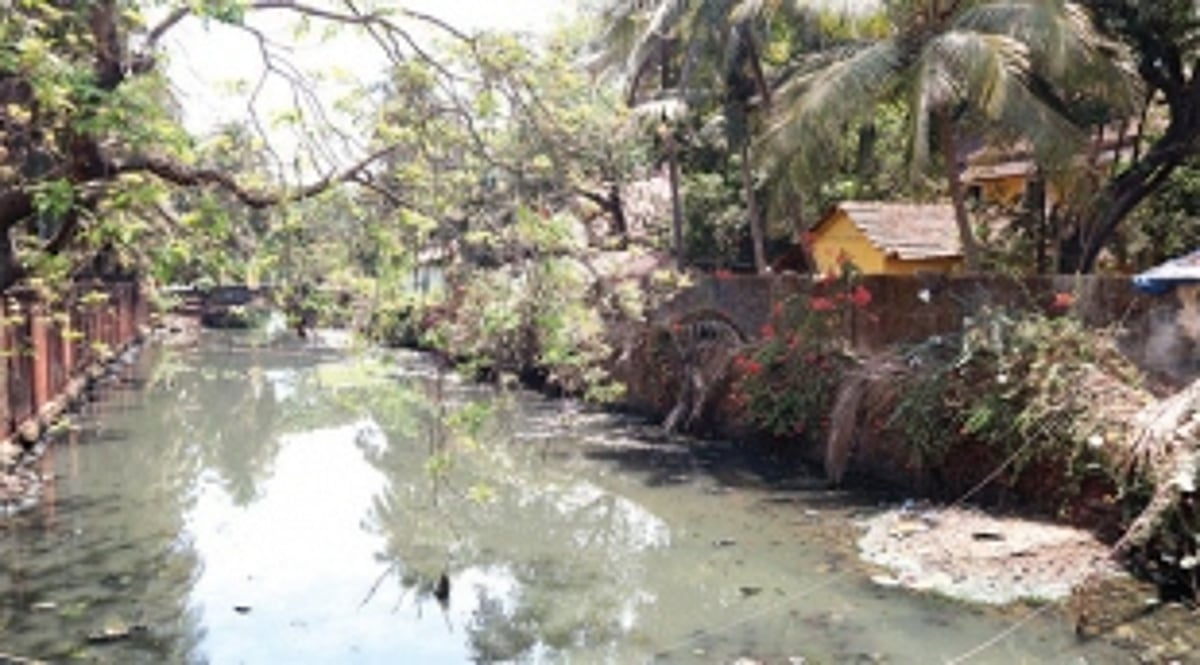 People can do for St Inez creek what consultants can’t