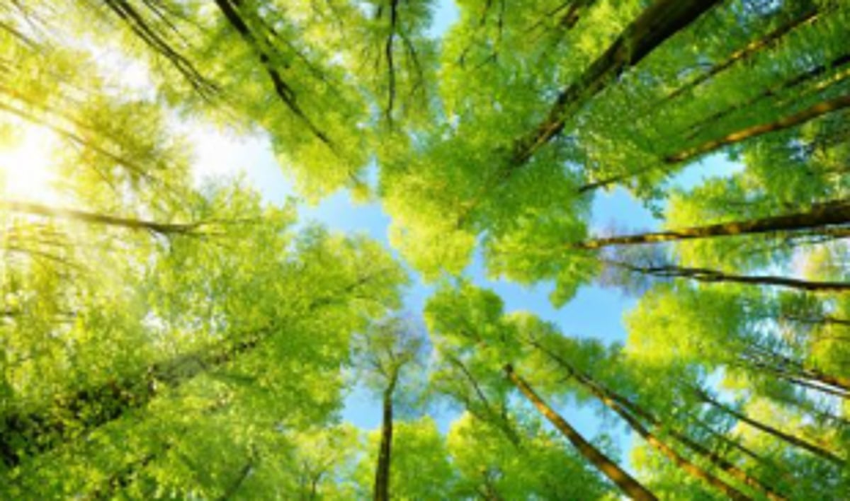 People’s Festival ends with talk on biodiversity conservation