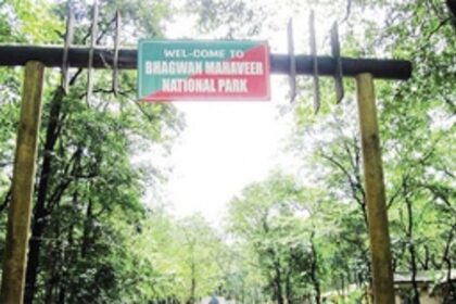 People’s action to protect Goa: Is it making a difference?