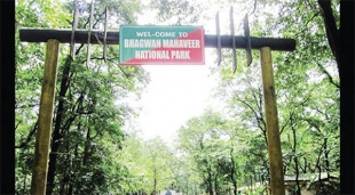 People’s action to protect Goa: Is it making a difference?