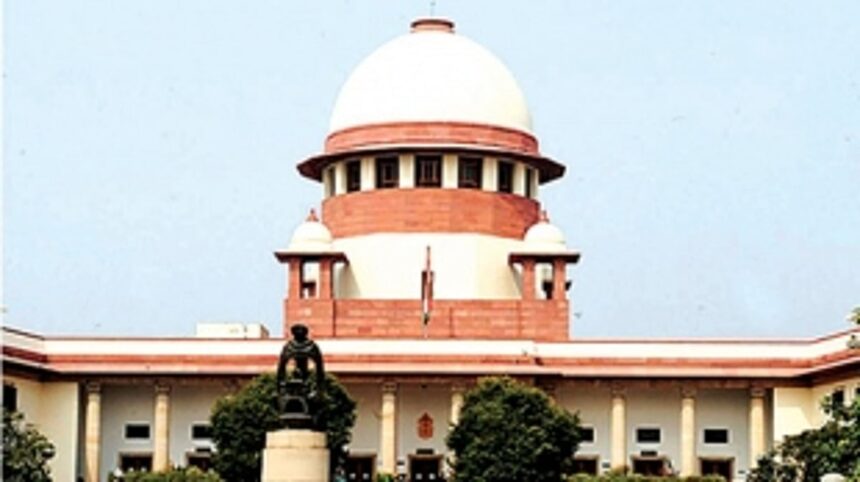 People’s power prevails: Supreme Court says no fresh forest areas to be used in Mollem for Tamnar power project