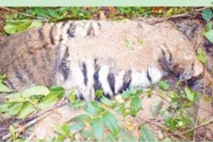 People’s rights will remain intact, says the law