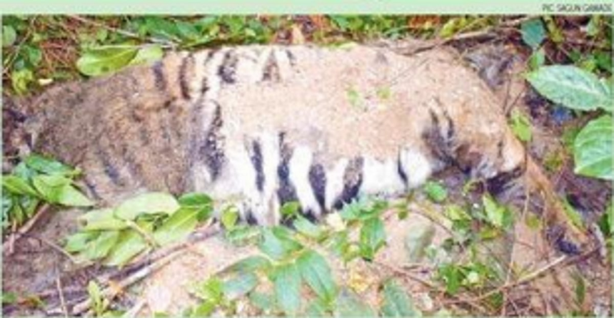 People’s rights will remain intact, says the law