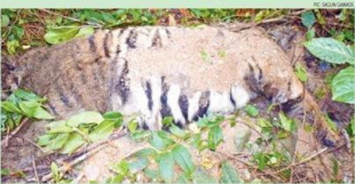 People’s rights will remain intact, says the law