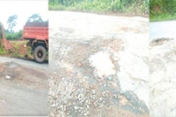 Perennial pothole problem turns Curchorem-Assolda main road pitiable, yet again