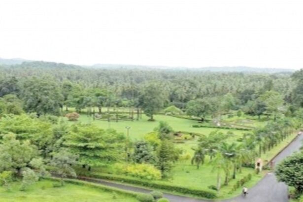 Perfect for picnics and pasoi, Sanguem’s idyllic botanical gardens set to get new attractions