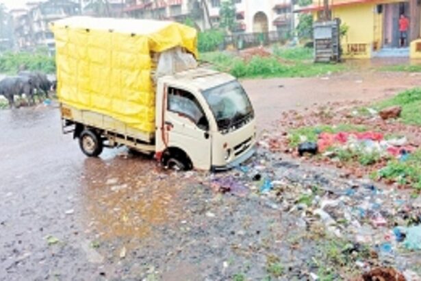 Permanent relief demanded from stench at Margao market