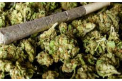 Pernem Police Bust Narcotics Possession in Arambol; One Arrested