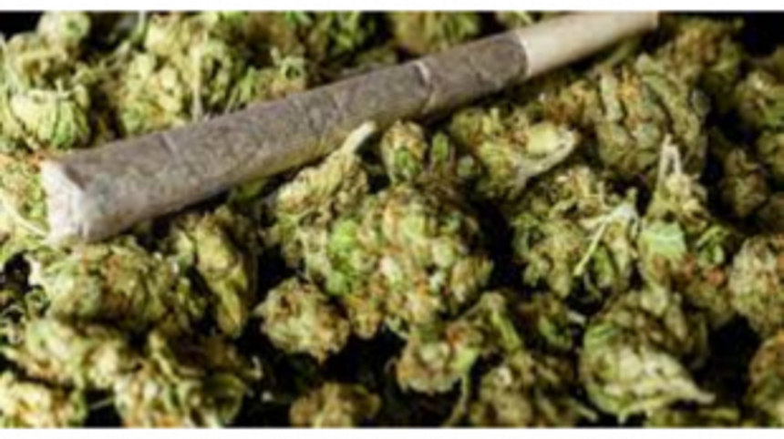 Pernem Police Bust Narcotics Possession in Arambol; One Arrested