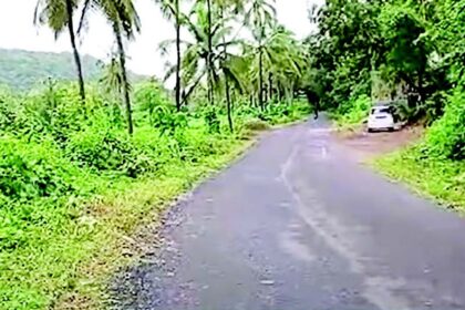 Pernem residents demand completion of incomplete grass cutting work
