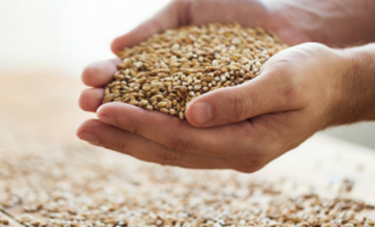 Person buying food grains in black market  at Mormugao fair price shop goes viral