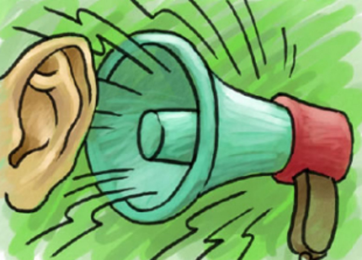 Phadte assures action on noise pollution to Anjuna locals