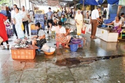 Phone a fish: Goans get a lifeline at lockdown