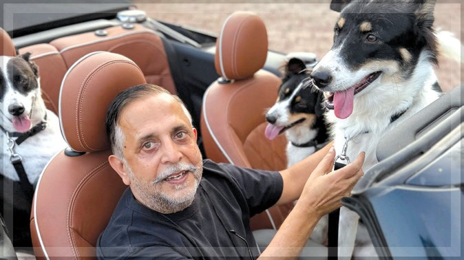 Photographer Rohit Chawla Captures the Heart and Soul of Goa's Stray Dogs 1 Photographer Rohit Chawla Captures the Heart and Soul of Goa's Stray Dogs