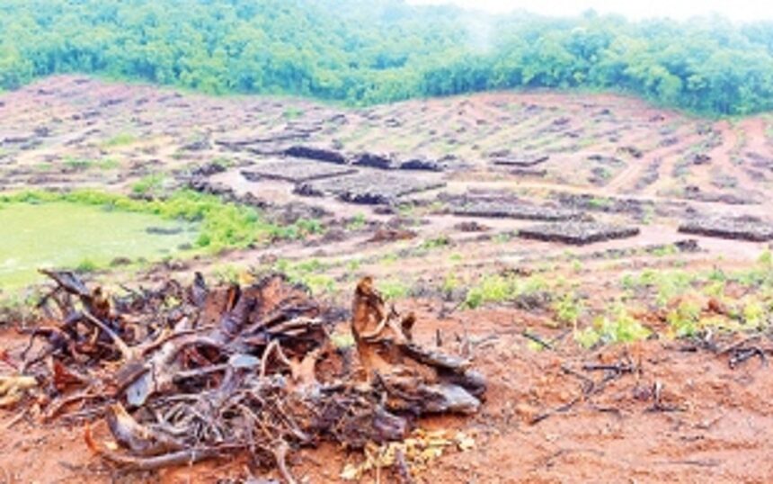 Physically inspect forest area likely to be destroyed by linear projects, CEC urged 1 Physically inspect forest area likely to be destroyed by linear projects, CEC urged