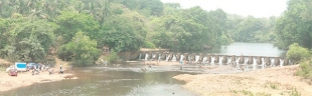 Picnickers ignore warning signs, flock to  take a dip in Dudhsagar River