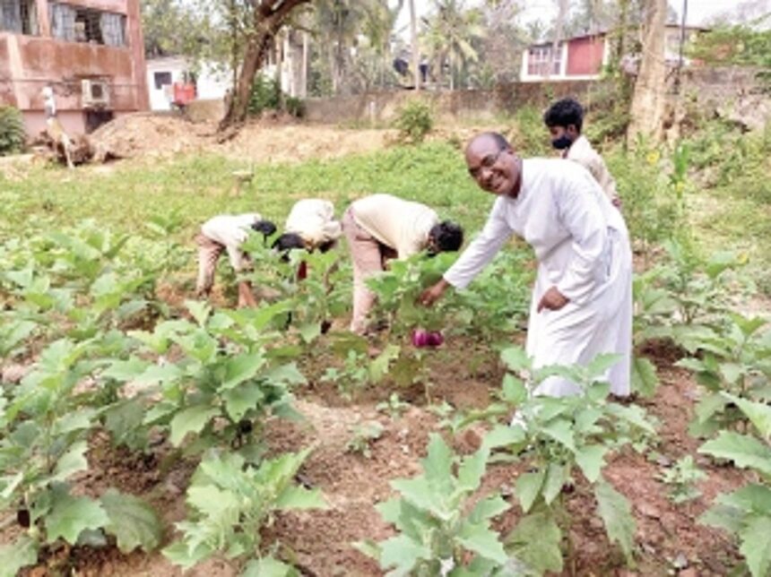Pilar priest with a green thumb