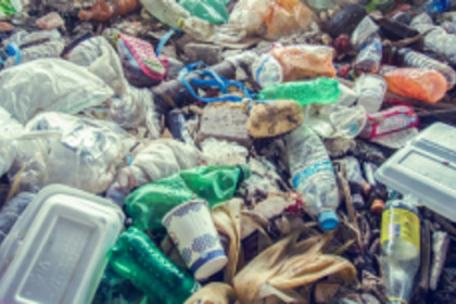 Piled up garbage may cause health hazard: SGPDA Chairman