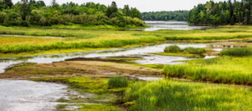 Pilerne Lake notified as wetlands 1 Pilerne Lake notified as wetlands