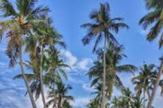 Pilerne ‘Maddani’ road hotspot for photo shoots