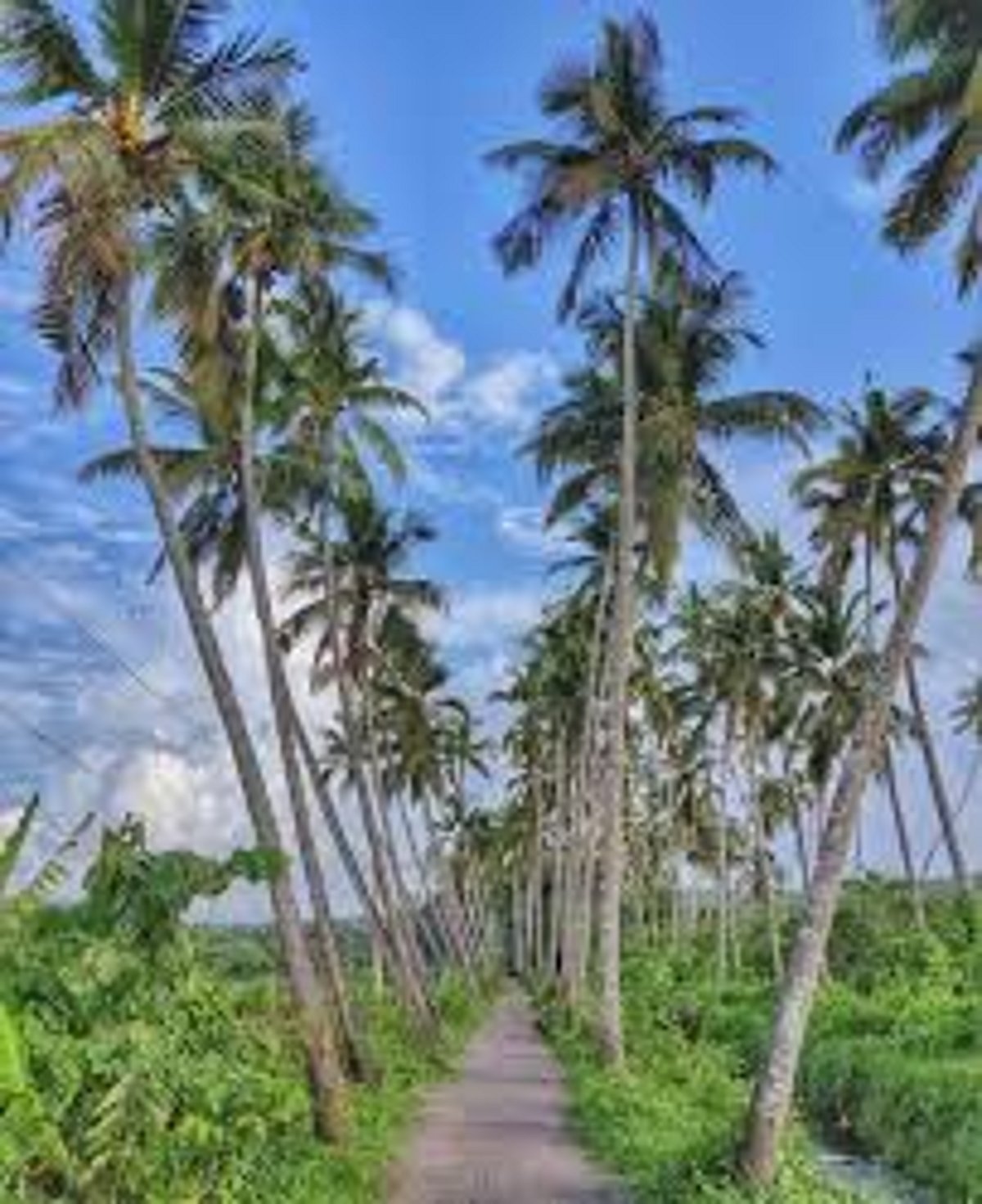 Pilerne ‘Maddani’ road hotspot for photo shoots