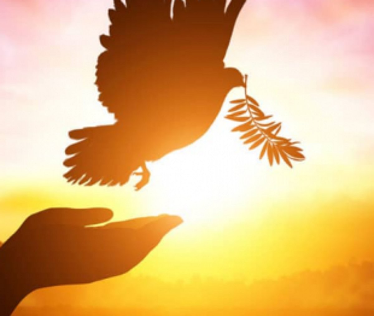 Pillars of Positive Peace