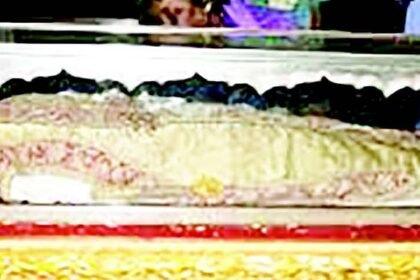 Planning, arrangement for Exposition of Sacred
Relics of St Francis Xavier discussed at meet