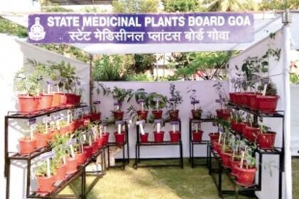 Plant Festival blooms into glory post Covid