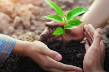 Plant a Tree and Gift a Living