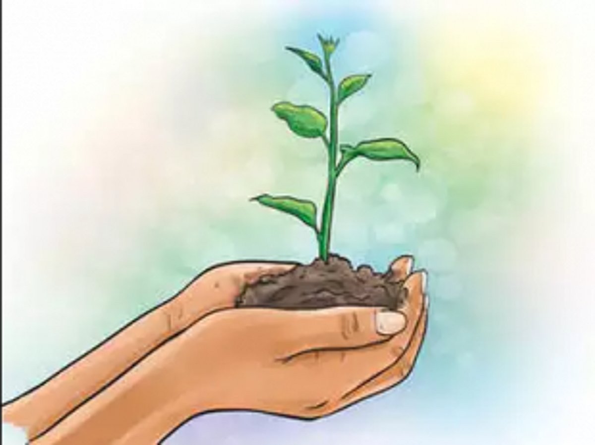 Plant trees for our future generations: Aldona MLA