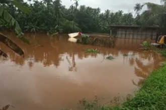 Plantations flood as water levels rise at Bailpar