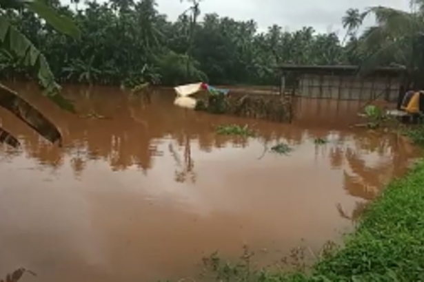 Plantations flood as water levels rise at Bailpar