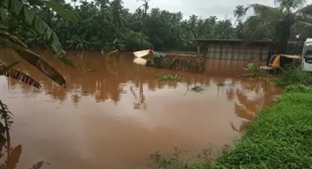Plantations flood as water levels rise at Bailpar