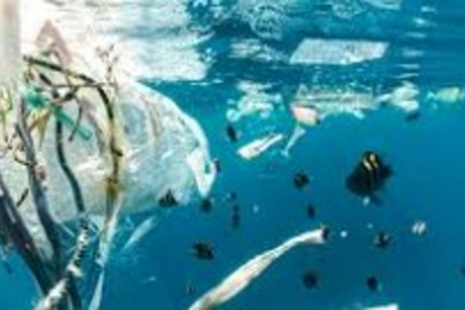 Plastic Waste Crisis Hits Goa’s Shores, Threatens Marine Life, Public Health, and Fishermen’s Livelihoods