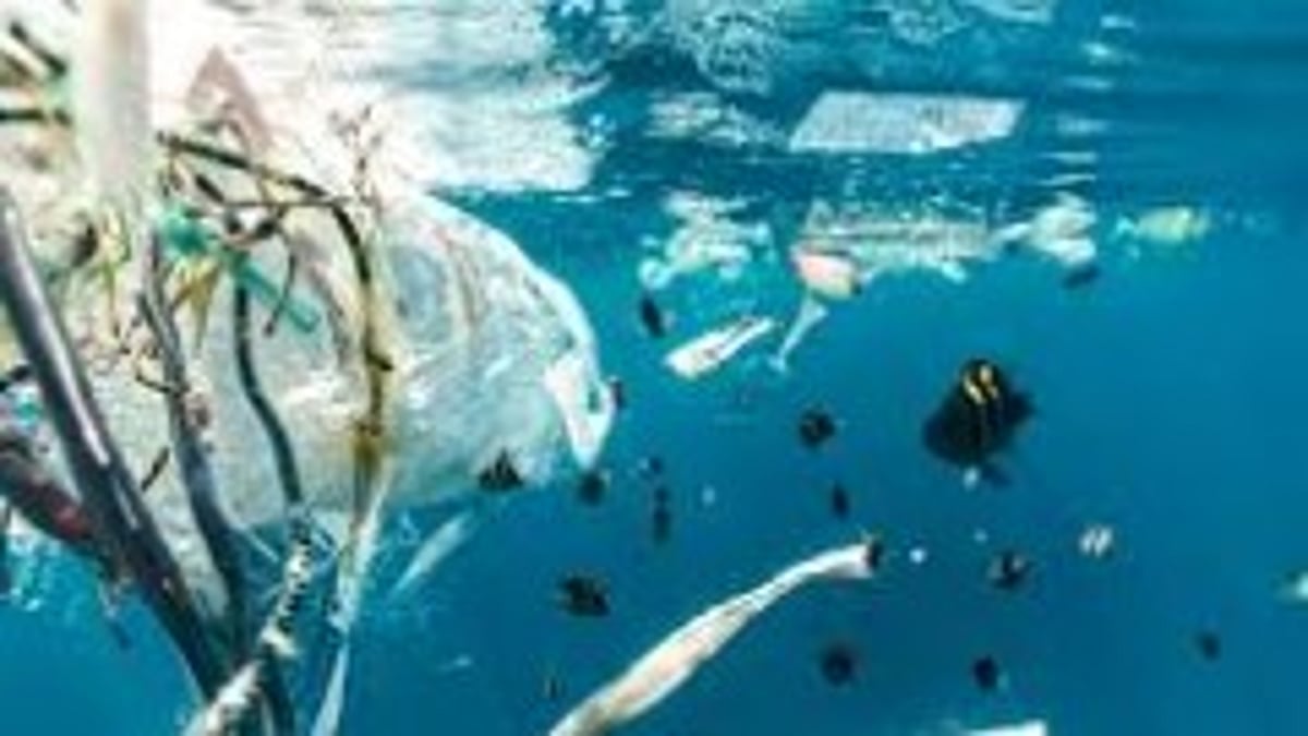 Plastic Waste Crisis Hits Goa’s Shores, Threatens Marine Life, Public Health, and Fishermen’s Livelihoods