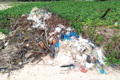 Plastic-free era