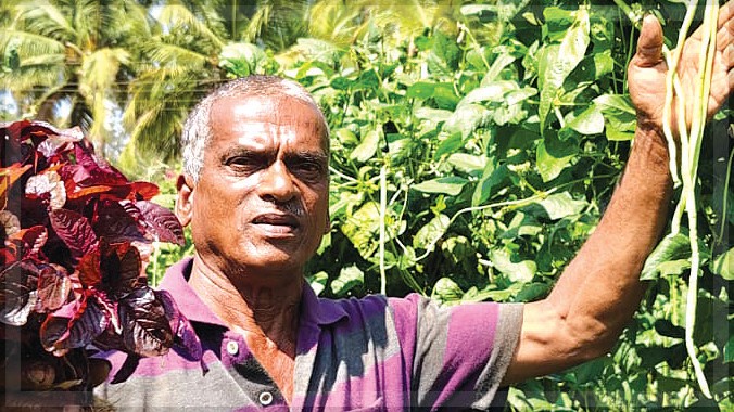 Plumber, farmer, son of the soil: Prakash Karapurkar champions Goa’s agricultural heritage