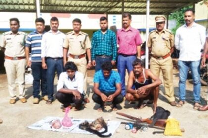 Poachers arrested by authorities