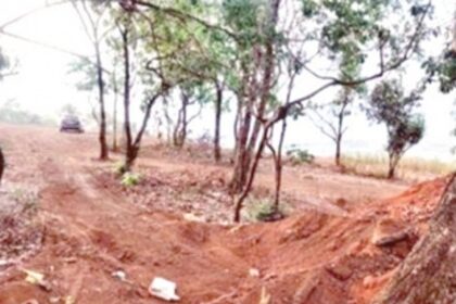 Poinguinim p’yat objects to felling of trees on hilly slope