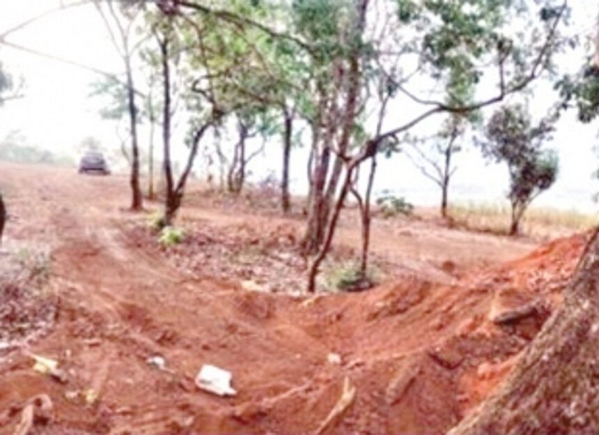 Poinguinim p’yat objects to felling of trees on hilly slope