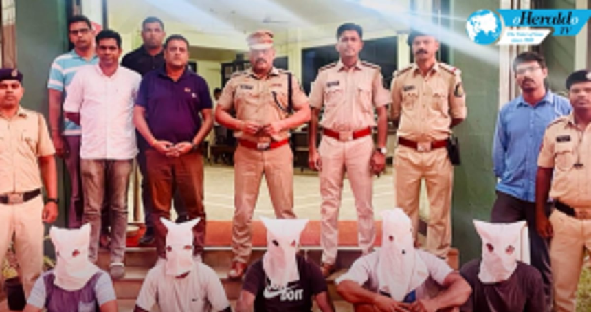 Police arrest 5 more in stabbing case