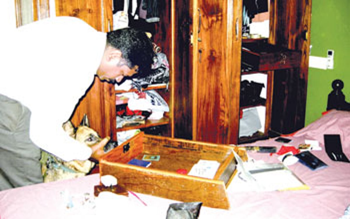 Police dog pressed into service to help burglary investigations