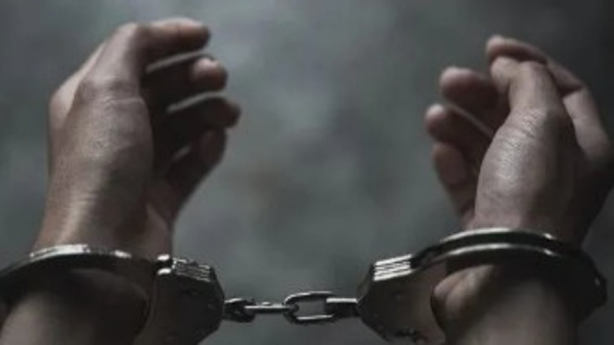 Five Karnataka Tourists Held for Assaulting Goan Cop in Mapusa 1 Police nab 11 in preventive arrests as part of inquiry into assault on activist Rama Kankonkar