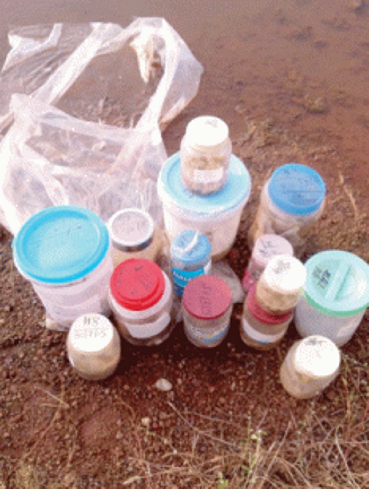 Police probing dumping  of biopsy parts at Verna