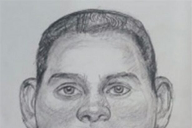Police release  sketch of chain snatcher