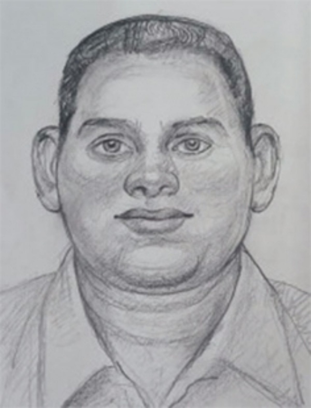 Police release  sketch of chain snatcher