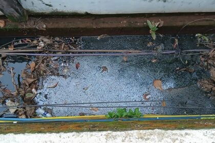 Polluted Drain Near Fatorda Jogging Track Threatens Public Health