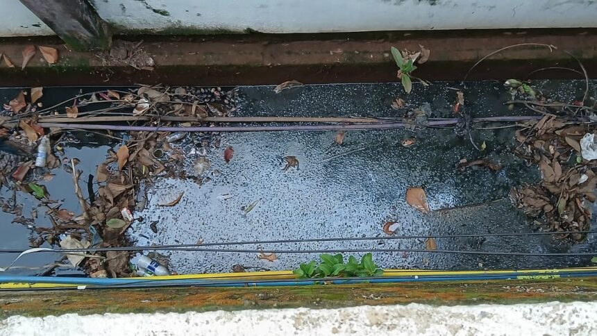 Polluted Drain Near Fatorda Jogging Track Threatens Public Health